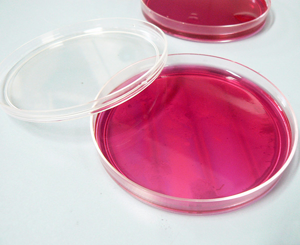 Placa de Petri oxido etileno