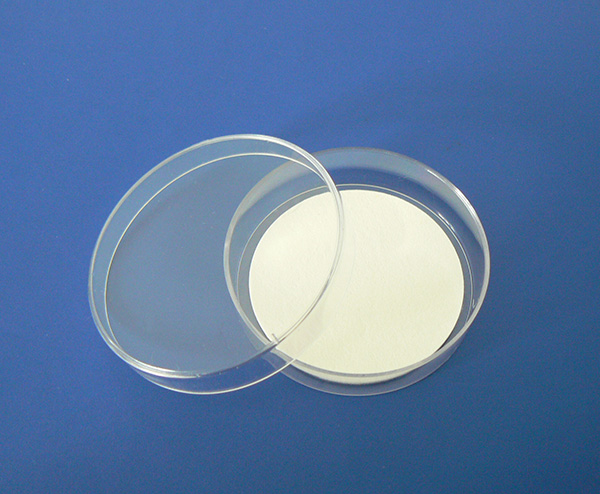 Placa de Petri con pad