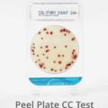 CC