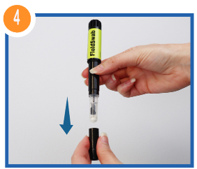 paso 4 | AllerGiene® ATP Swab – Para Control de Alérgenos