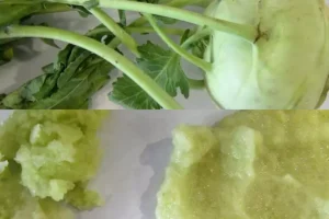 llfeaturescabbage | Molino de cuchillas GRINDOMIX GM 300