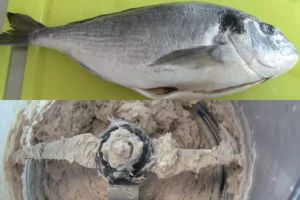 llfeaturesfish | Molino de cuchillas GRINDOMIX GM 300