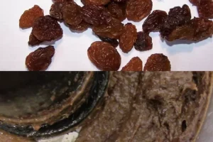 llfeaturesraisins | Molino de cuchillas GRINDOMIX GM 200