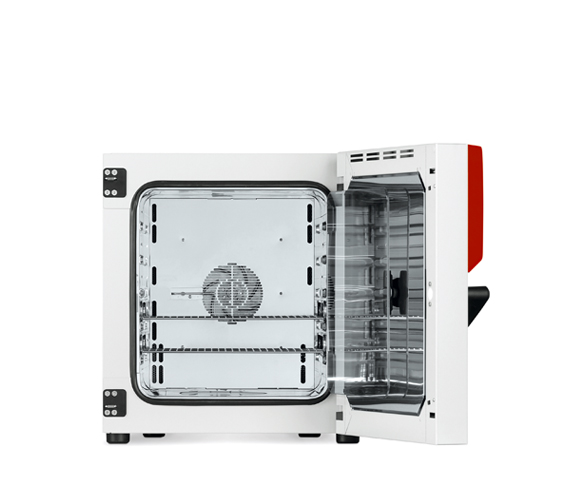 bf-056-of-500x580px-02